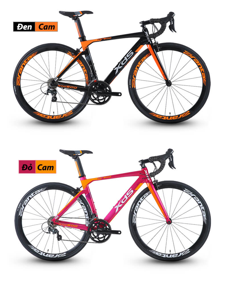 Xe Đạp Đua XdS RF500