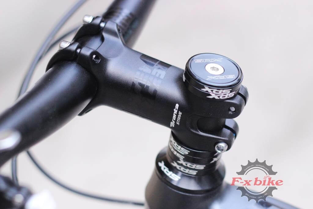 Potang Branta cắt cách điệu - Chén cổ XdS