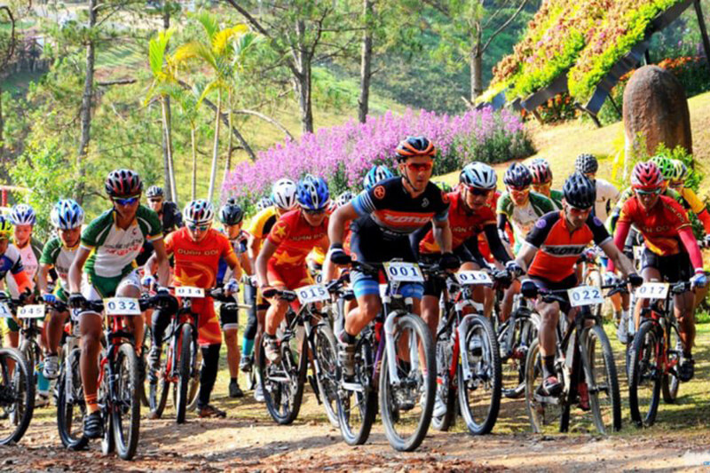 11 mẫu xe đạp đua thường được dân đua xe chuyên nghiệp lựa chọn