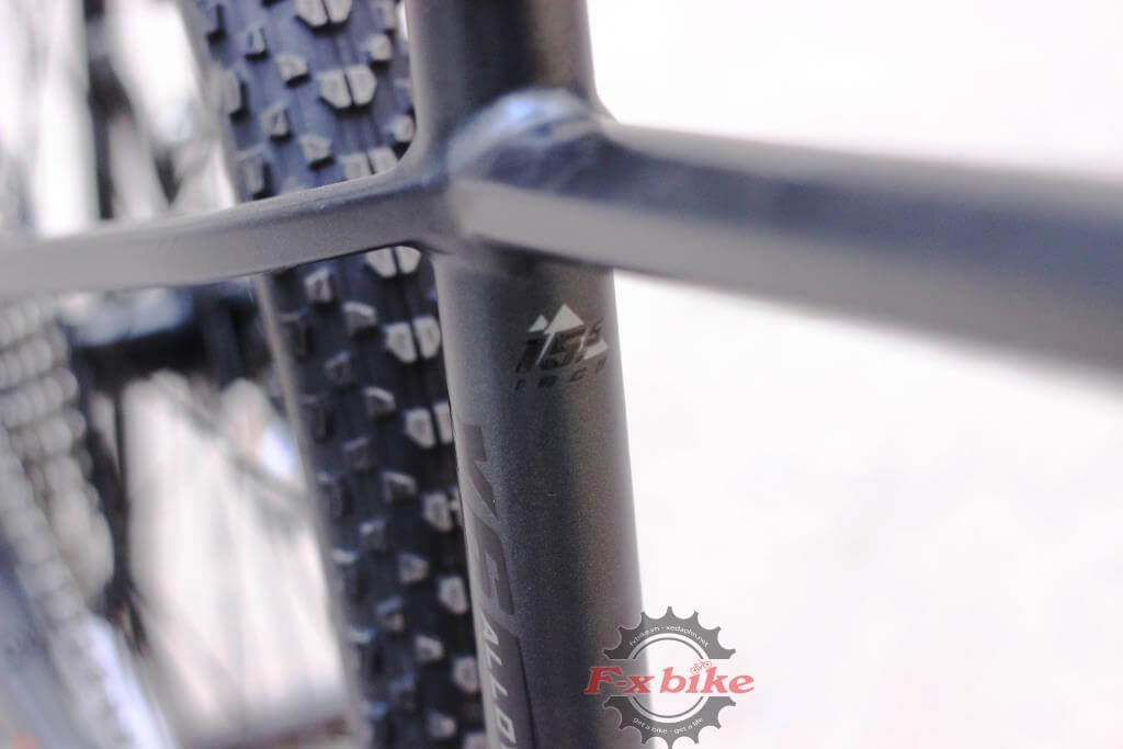 XdS Romance 800 (2021)