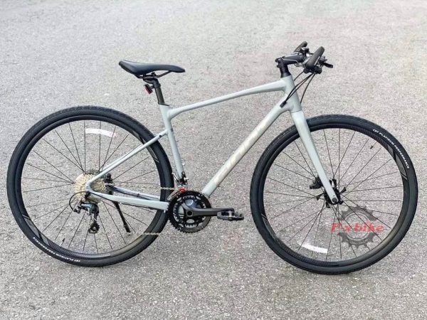 Giant Revolt F1 2022