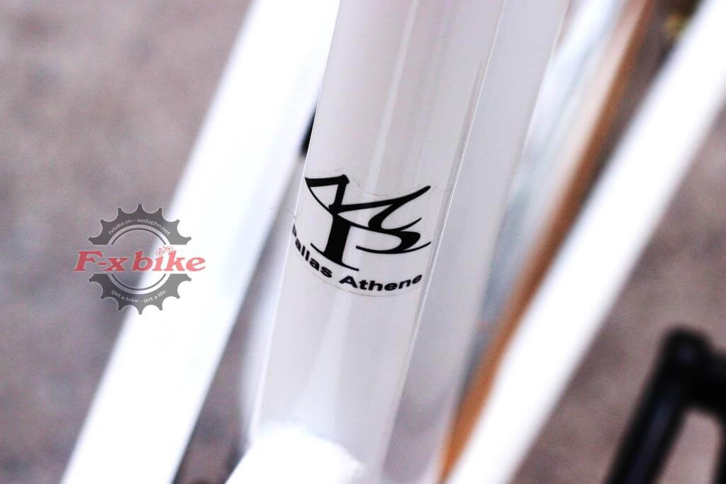 Xe Đạp Đường Phố Mypallas M501 Japan