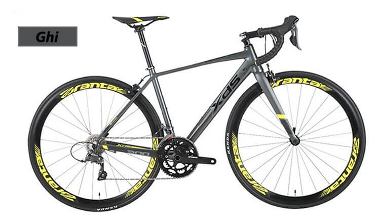 Xe Đạp Đua XdS RX350