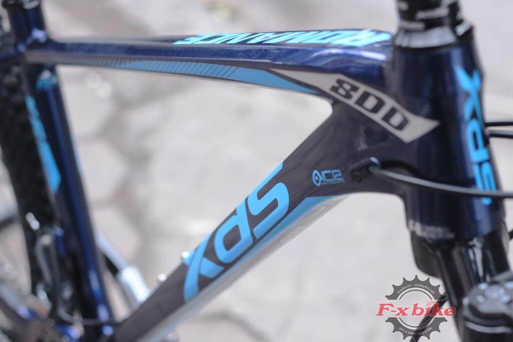 Xe Đạp Địa Hình XdS Romance 800 (2021) Xanh Tím Than