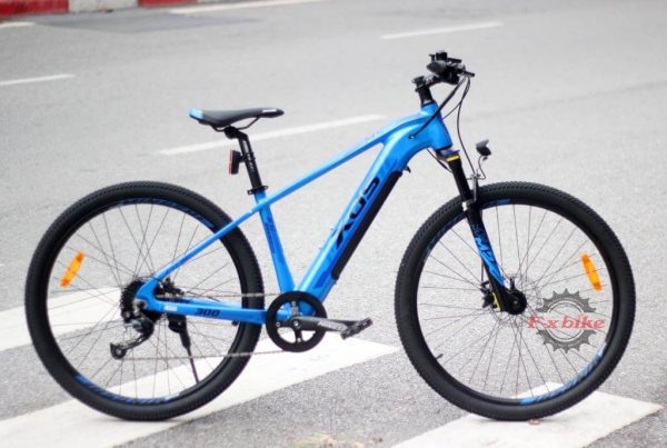 Xe Đạp Trợ Lực Điện XdS MS300