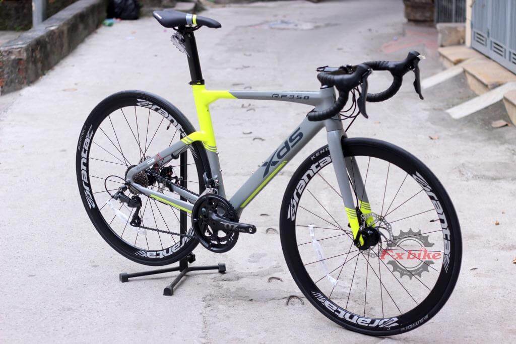 XdS RF350D Ghi Vàng