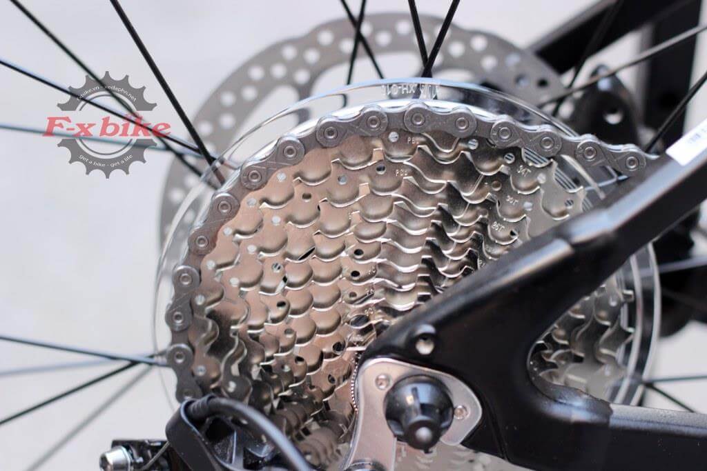 XdS Romance 500 2023