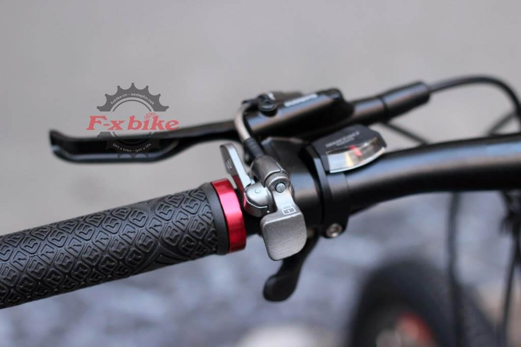 XdS Romance 500 2023