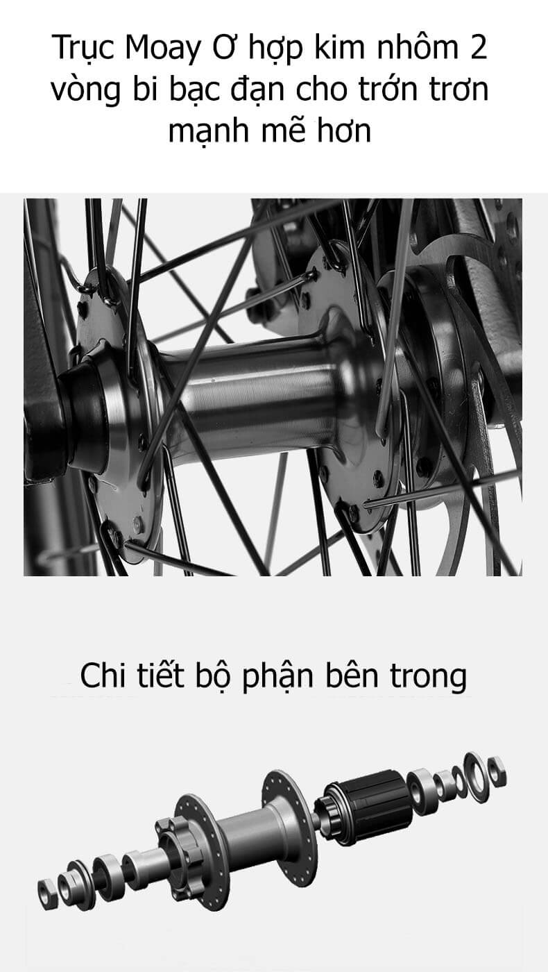 XdS Sundance 800 Plus