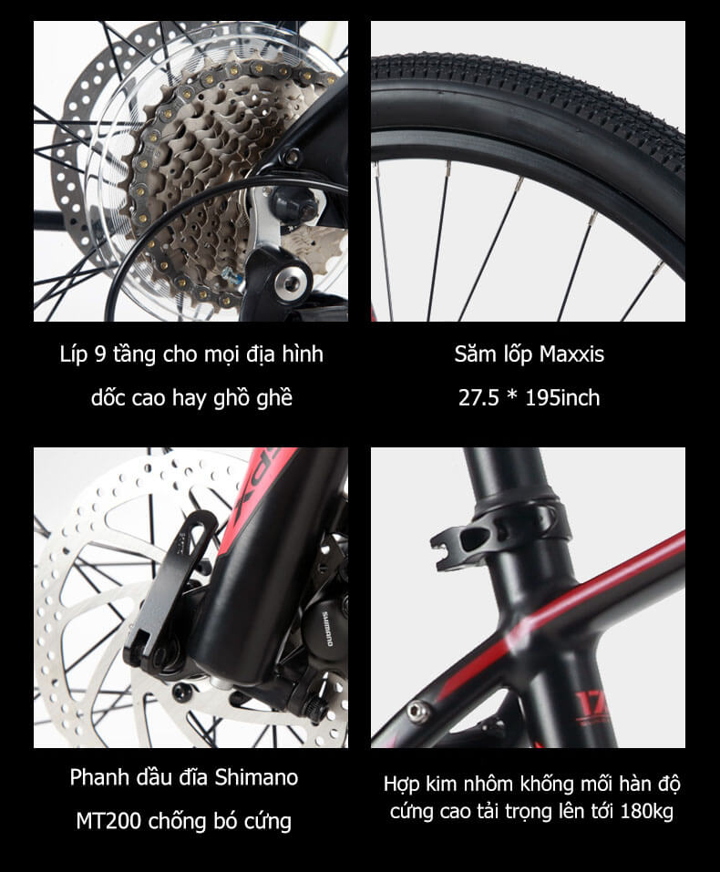 XdS Sundance 800 Plus