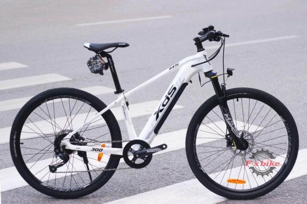 Xe Đạp Trợ Lực Điện XdS MS300