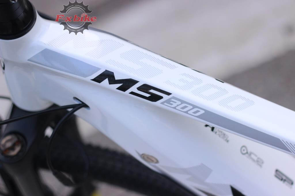 Xe Đạp Trợ Lực Điện XdS MS300