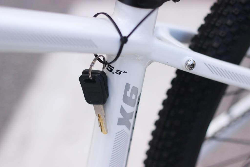 Xe Đạp Trợ Lực Điện XdS MS300