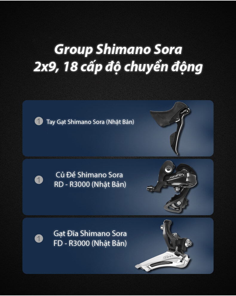 Xe Đạp Đua XdS RC600