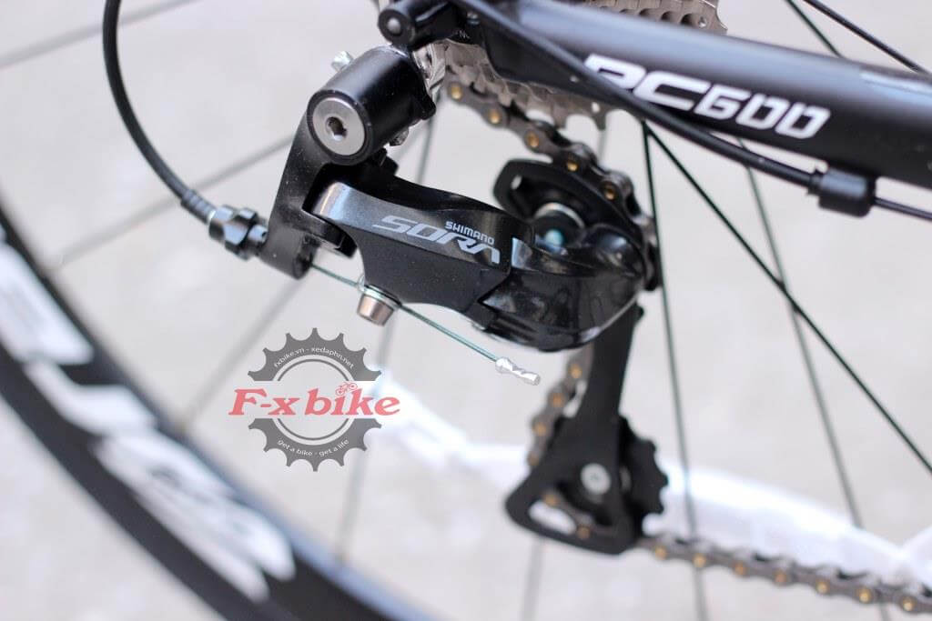 Củ Đề Shimana Sora R3000 Cao Cấp