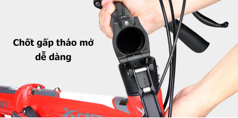 Xe Đạp Gấp XdS W7
