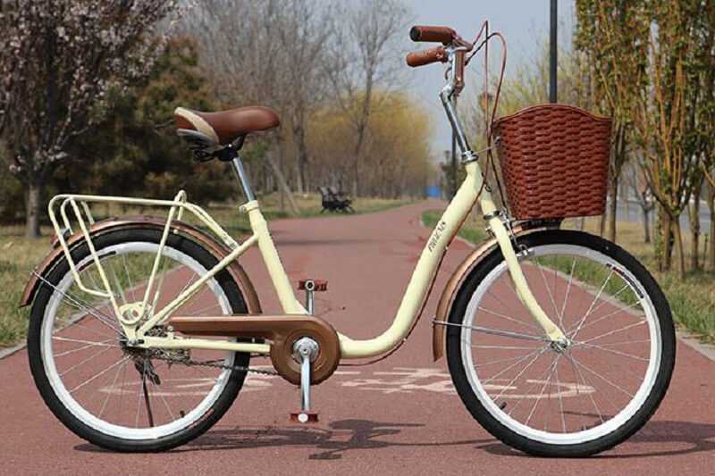 6 mẫu xe đạp nữ giá rẻ “đốn tim” phái đẹp