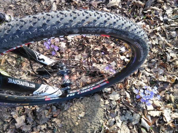 Lốp xe đạp MTB Continental Race King 27.5X2.0