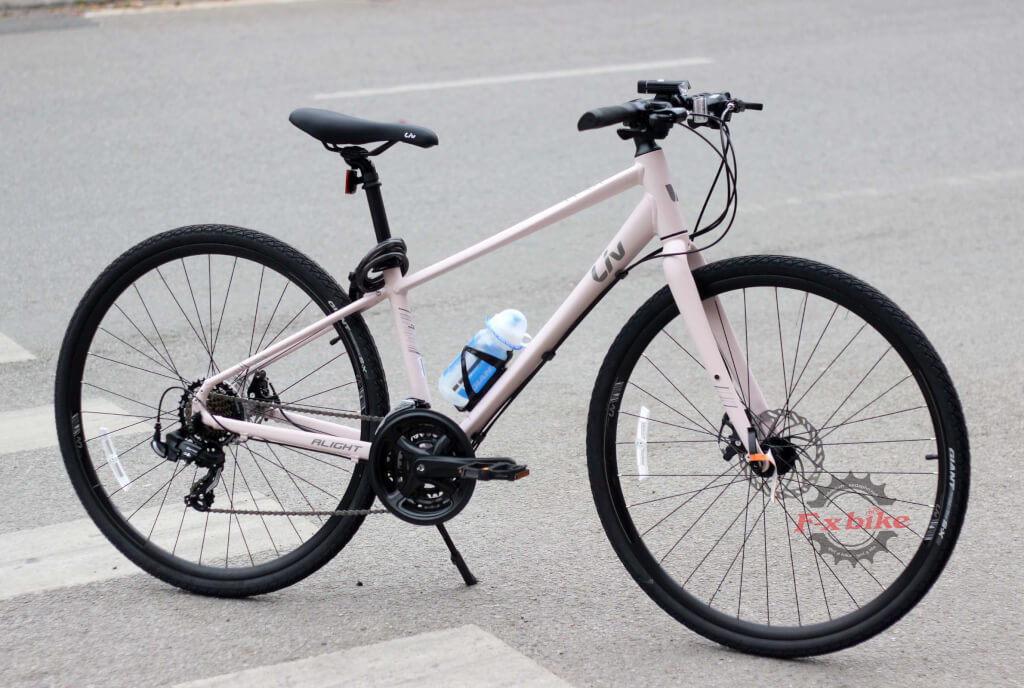 Xe Đạp Touring Liv Alight 2 2020 Màu Hồng