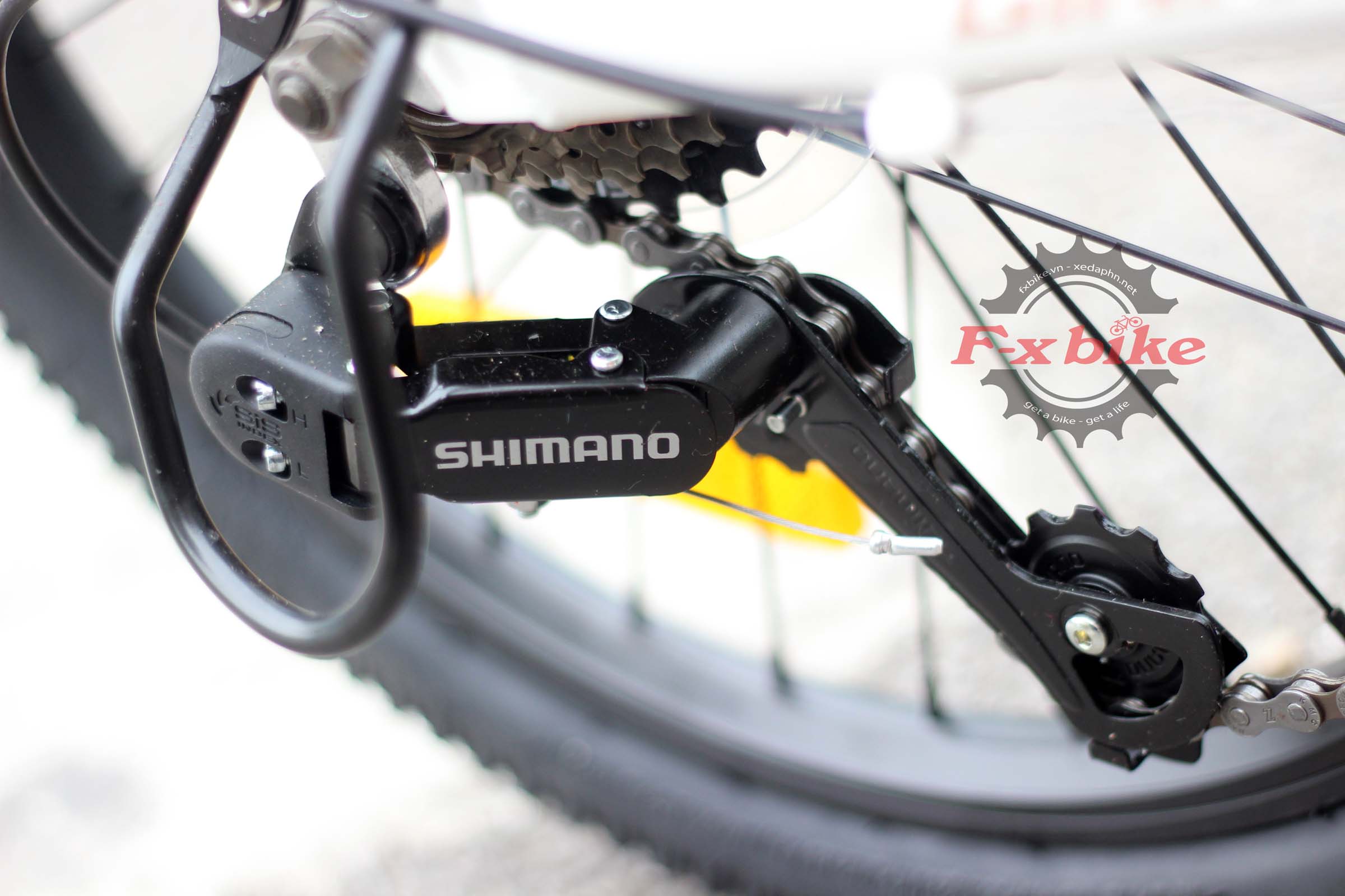 Củ đề Shimano TZ31 – 7 Cấp Độ (Nhật Bản)
