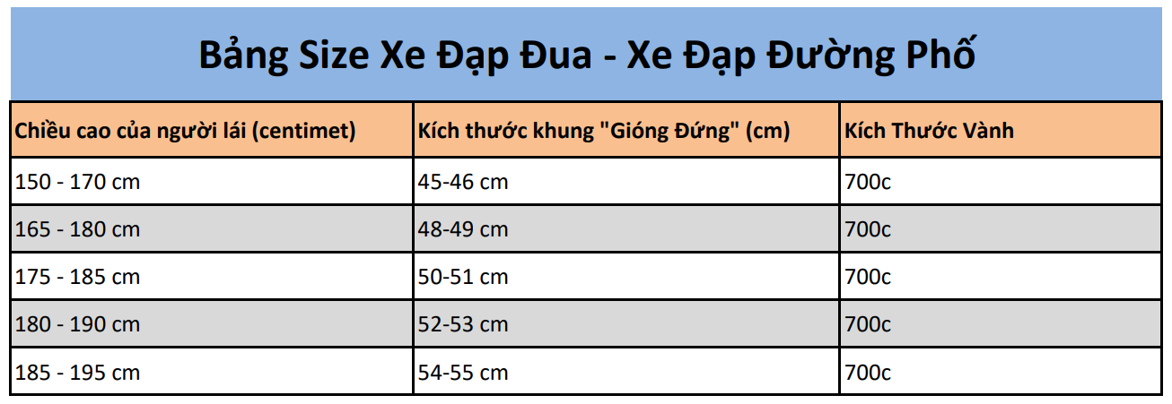 Bảng kích thước sản phẩm Xe Đạp Đường Phố XdS A903 Full Carbon