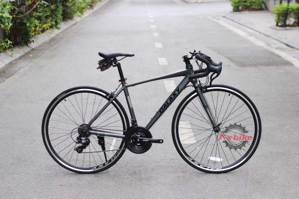 Xe Đạp Galaxy Rl420 2024 Màu Ghi