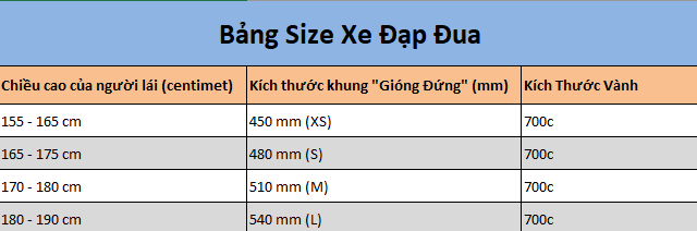 Bảng kích thước sản phẩm Xe Đạp Đua XdS AD350 2025