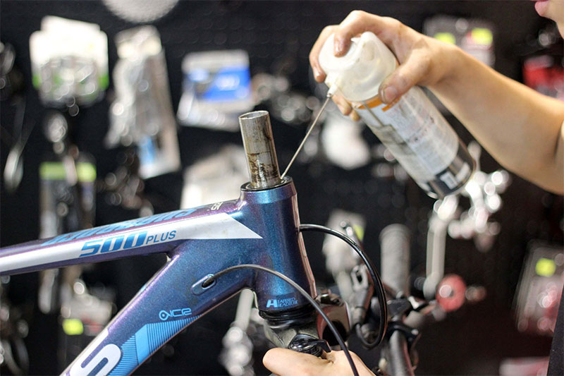 Vệ sinh và tra dầu mỡ cổ phốt