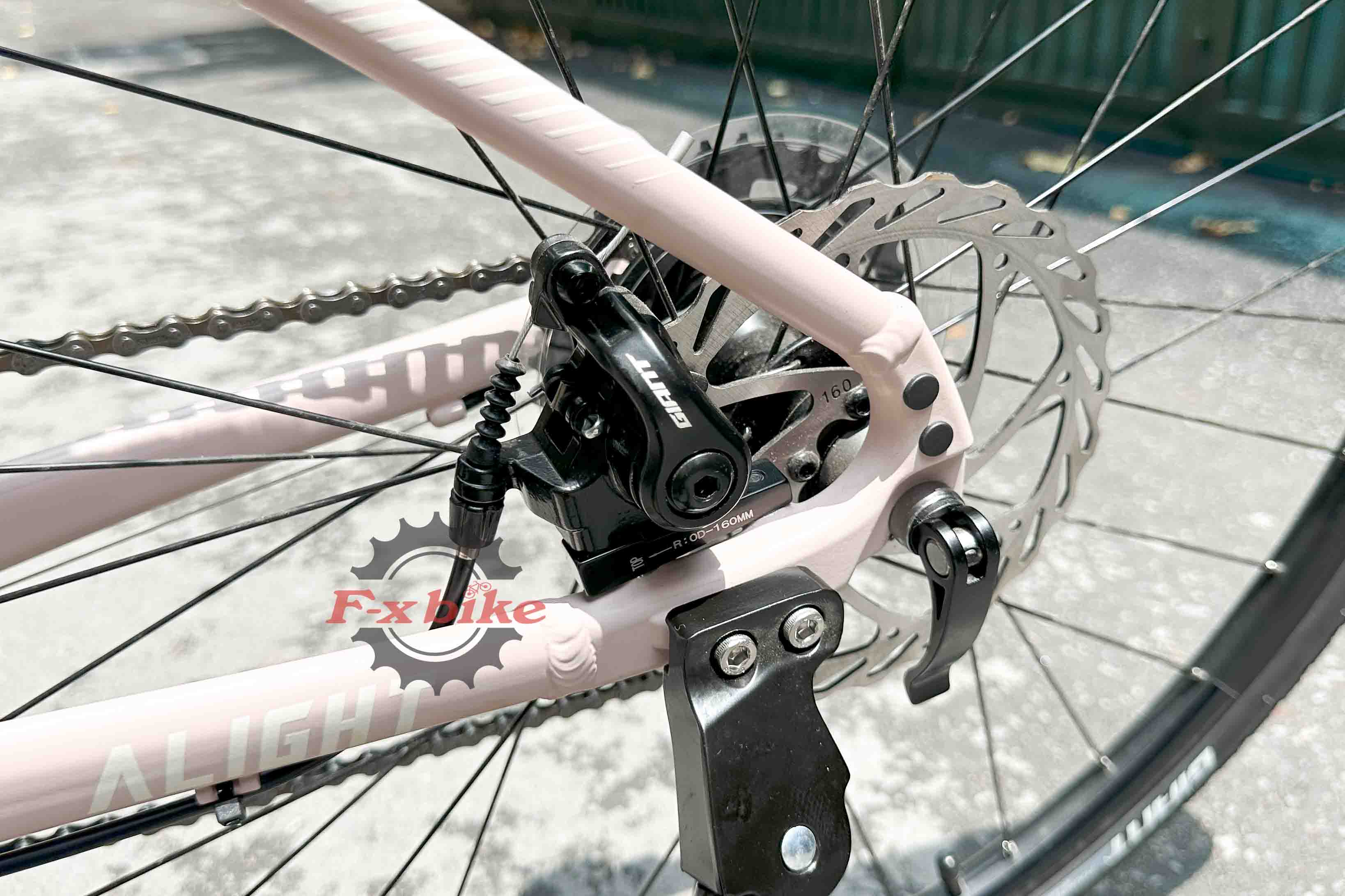 Phanh đĩa cơ Giant , đĩa Giant 160 mm