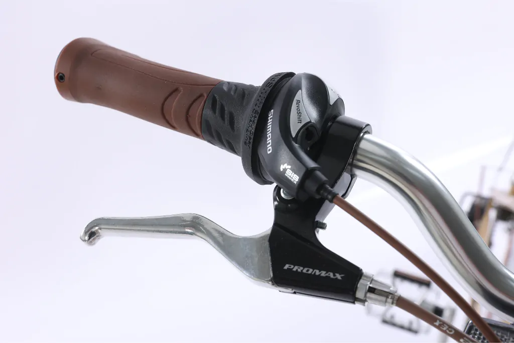 XE ĐẠP CHEVAUX PARRIS 6.0