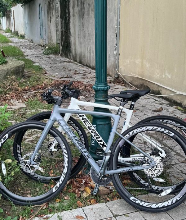 Xe Đạp Đường Phố PK Pro Màu Ghi