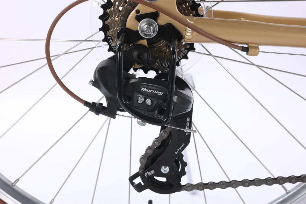 XE ĐẠP CHEVAUX PARRIS 6.0