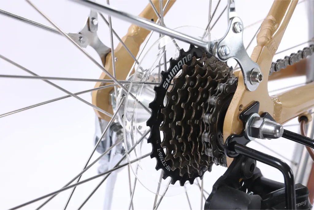 XE ĐẠP CHEVAUX PARRIS 6.0