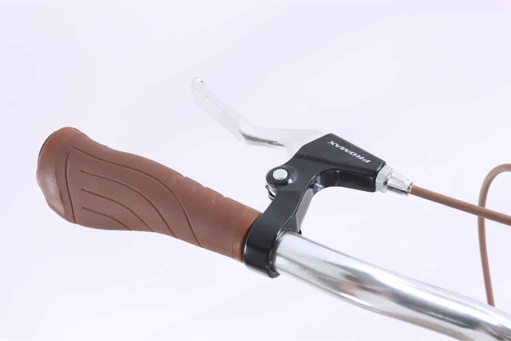 XE ĐẠP CHEVAUX PARRIS 6.0