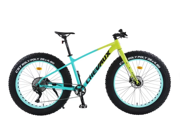 Xe Đạp Địa Hình Chevaux ToTo Fat Vàng Xanh