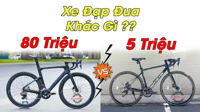 So sánh xe đạp đua 5 triệu với 80 triệu có gì khác biệt?