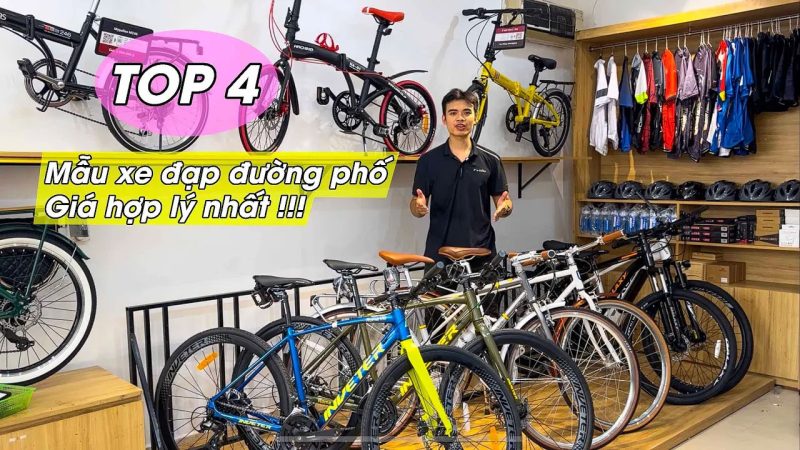 Top 4 mẫu xe đạp đường phố giá hợp lý nhất