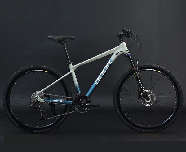 Xe Đạp Địa Hình MTB Dook Xi Măng Xanh