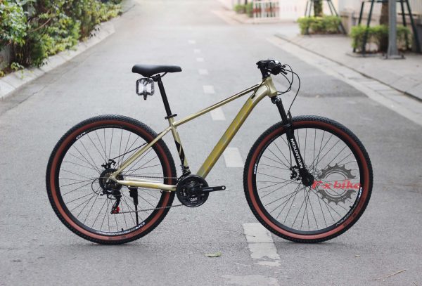 Xe Đạp Địa Hình MTB RALEIGH Commander 29inch Màu Vàng