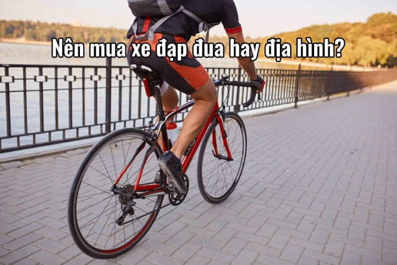 Nên mua xe đạp đua hay địa hình