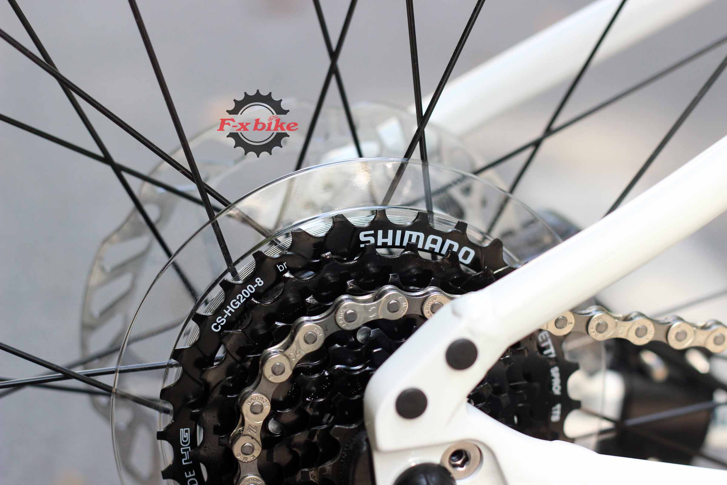 Líp: Shimano 8S 12-32T